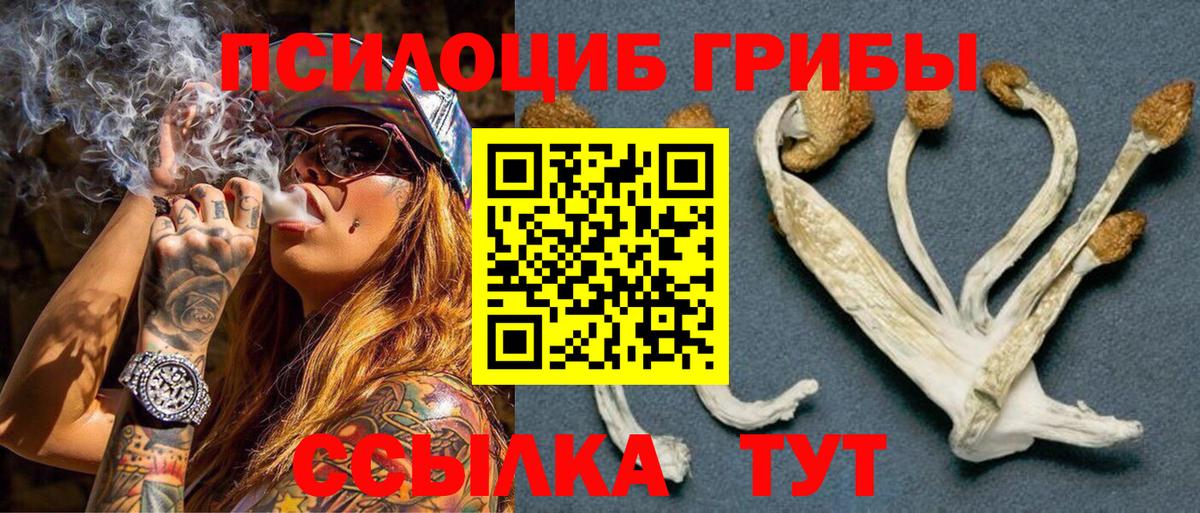 купить наркотики сайты  Псилоцибиновые грибы Psilocybe  Вход с VPN  Галлюциногенные грибы Psilocybine cubensis  Можайск 