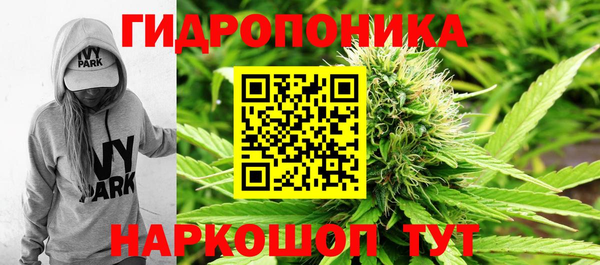 Канабис гибрид Можайск